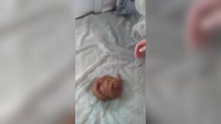ScatKings.com Scat Porn