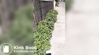 ScatKings.com Scat Porn