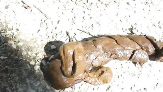 ScatKings.com Scat Porn