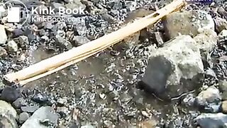 ScatKings.com Scat Porn