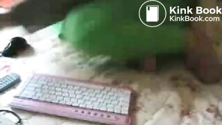 ScatKings.com Scat Porn