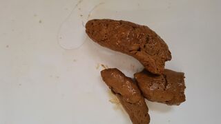 ScatKings.com Scat Porn