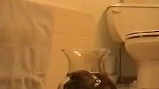 ScatKings.com Scat Porn