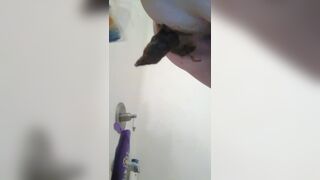 ScatKings.com Scat Porn