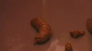 ScatKings.com Scat Porn