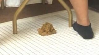 ScatKings.com Scat Porn