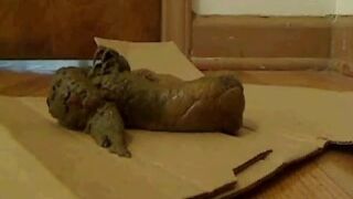 ScatKings.com Scat Porn