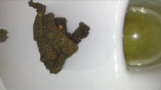 ScatKings.com Scat Porn
