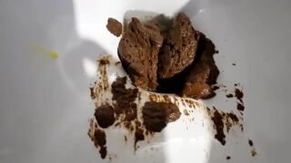 ScatKings.com Scat Porn