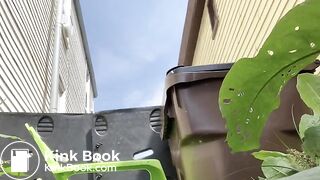 ScatKings.com Scat Porn