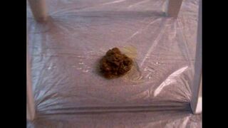 ScatKings.com Scat Porn