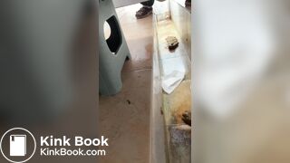 ScatKings.com Scat Porn