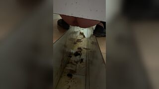 ScatKings.com Scat Porn