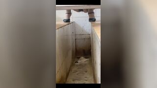 ScatKings.com Scat Porn