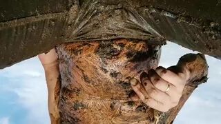 ScatKings.com Scat Porn