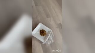 ScatKings.com Scat Porn