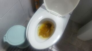 ScatKings.com Scat Porn