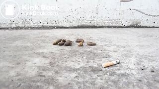 ScatKings.com Scat Porn