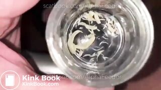 ScatKings.com Scat Porn