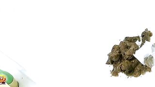 ScatKings.com Scat Porn