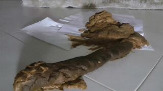 ScatKings.com Scat Porn