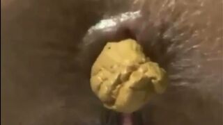 ScatKings.com Scat Porn