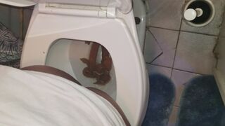 ScatKings.com Scat Porn
