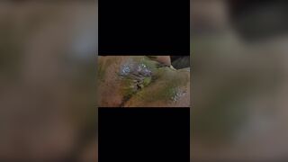 ScatKings.com Scat Porn