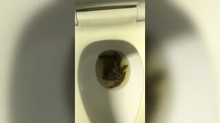 ScatKings.com Scat Porn