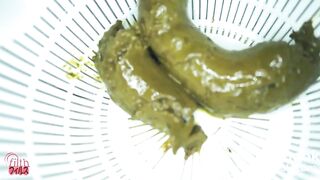 ScatKings.com Scat Porn
