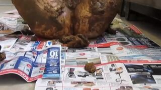 ScatKings.com Scat Porn