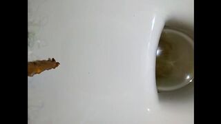 ScatKings.com Scat Porn