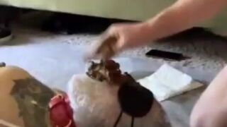 ScatKings.com Scat Porn
