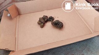 ScatKings.com Scat Porn