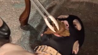 ScatKings.com Scat Porn