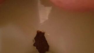 ScatKings.com Scat Porn
