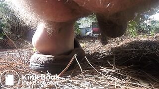 ScatKings.com Scat Porn