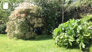 ScatKings.com Scat Porn
