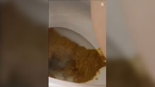 ScatKings.com Scat Porn