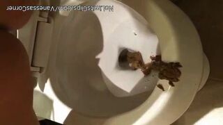 ScatKings.com Scat Porn