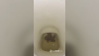 ScatKings.com Scat Porn
