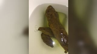 ScatKings.com Scat Porn