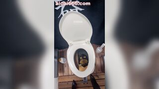 ScatKings.com Scat Porn