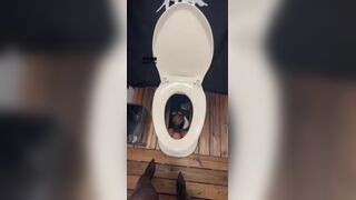 ScatKings.com Scat Porn