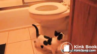 ScatKings.com Scat Porn