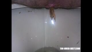 ScatKings.com Scat Porn