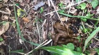 ScatKings.com Scat Porn