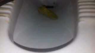 ScatKings.com Scat Porn