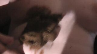 ScatKings.com Scat Porn