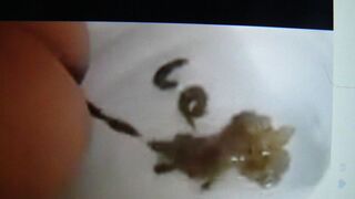 ScatKings.com Scat Porn